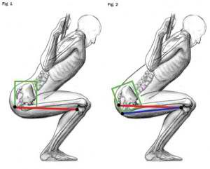 squat