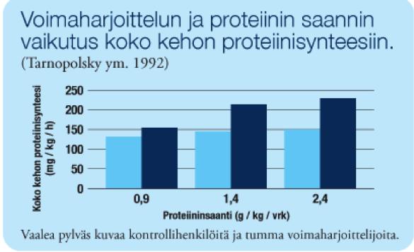 proteiinijavoimaharjoittelu