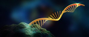 rna-slide